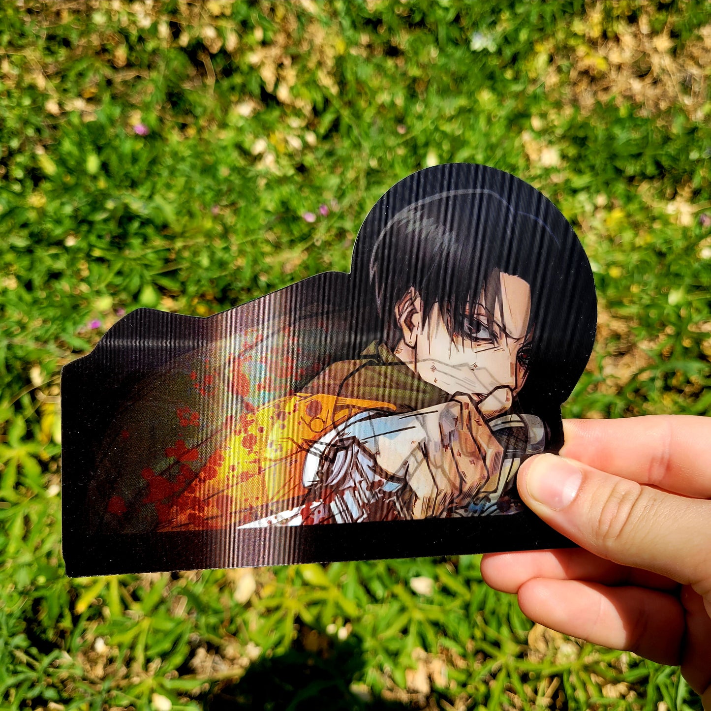 Levi