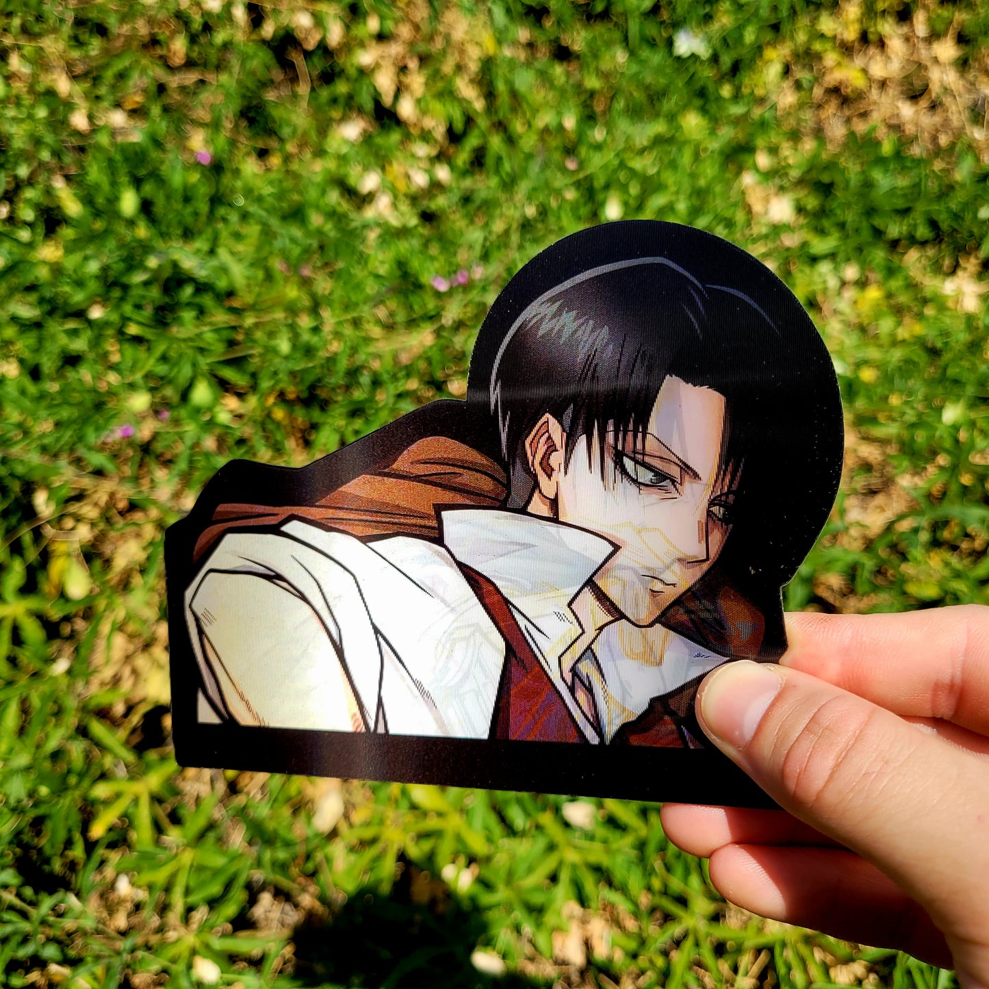 Levi